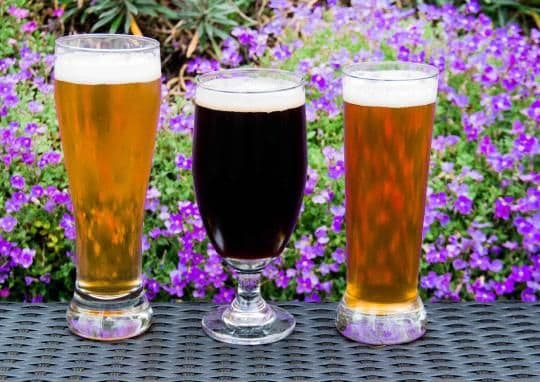 Explore The Top Spring Craft Beer: A Seasonal Brew Showcase