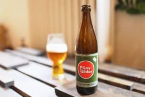 pliny the elder, san diego's top beer