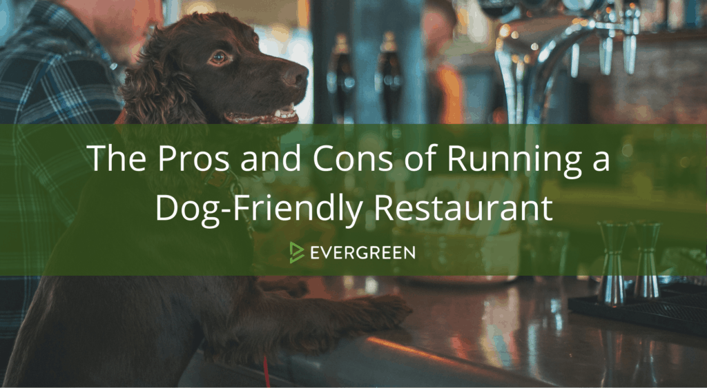 the pros and cons of running a dog friendly restaurant