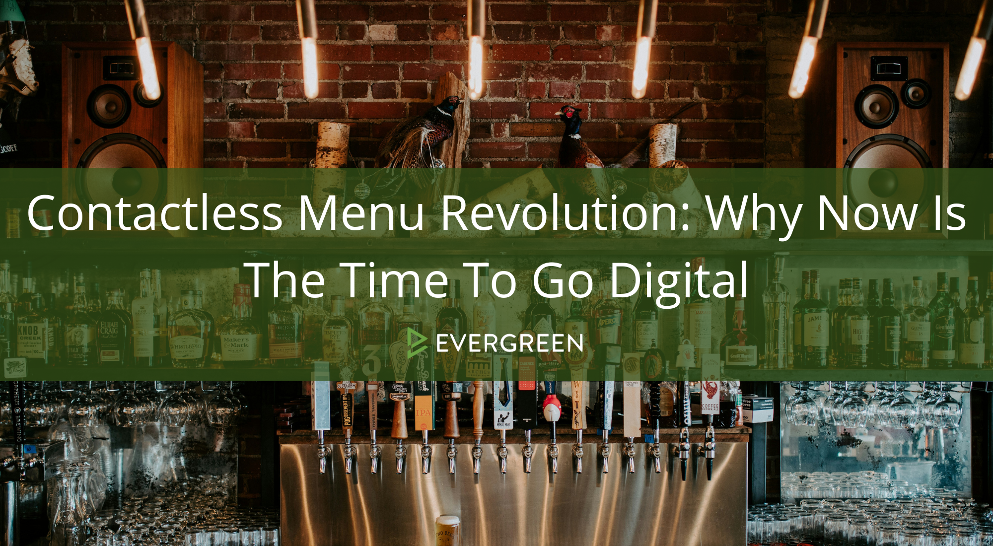 Contactless Menu Revolution: Why Now Is The Time To Go Digital